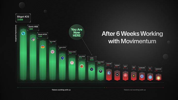 Movimentum's Commitment